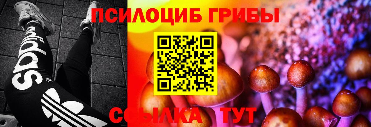 Псилоцибиновые грибы Magic Shrooms  Вход с VPN  Псилоцибиновые грибы мицелий  Железноводск 